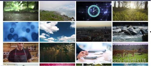 视频素材免费下载素材库,视频素材库精选集锦