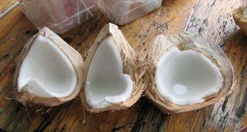 椰子肉怎么弄出来视频,椰子肉轻松取出的实用视频教程