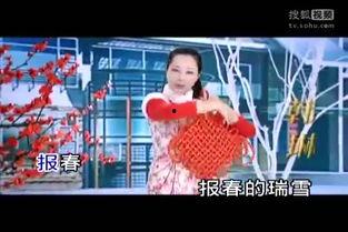 韩琳视频,揭秘明星幕后生活