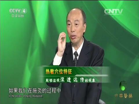 央视中华医药视频全集,传承千年国医精华，揭秘健康养生之道