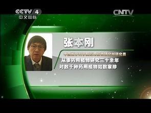 央视中华医药视频全集,传承千年国医精华,揭秘健康养生之道