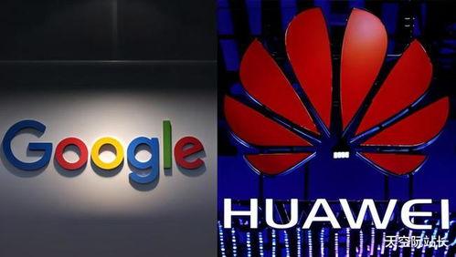 gms视频,GMS视频揭示的神秘世界概览