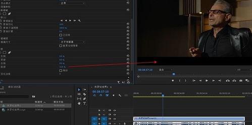 视频去除字幕,无字幕视频精彩内容速览
