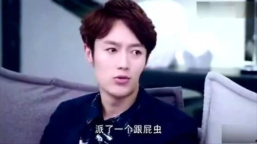 霸道总裁的视频,权谋与爱情的交织