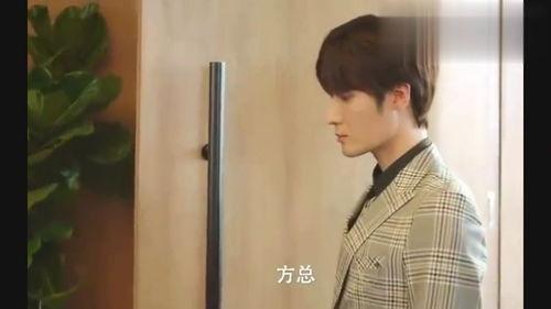 霸道总裁的视频,权谋与爱情的交织