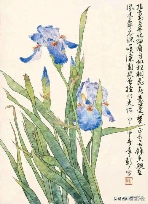 工笔花卉视频,视频教程深度解析