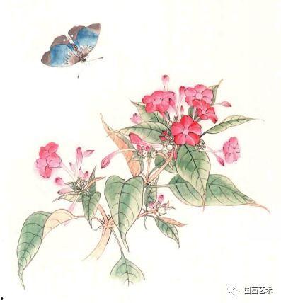 工笔花卉视频,视频教程深度解析