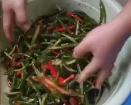腌辣椒视频