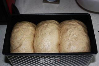 全麦面包的做法视频,视频教程详解