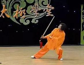 王西安太极剑49式视频,剑法精妙，动静结合的武术精髓展现