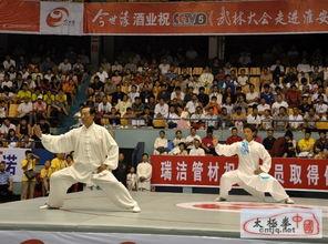 王西安太极剑49式视频,剑法精妙,动静结合的武术精髓展现