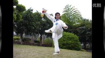 王西安太极剑49式视频,剑法精妙,动静结合的武术精髓展现