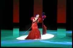 邓丽君的演唱会视频,歌声飘扬,回忆永恒