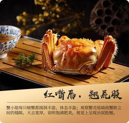 大闸蟹怎么做好吃视频