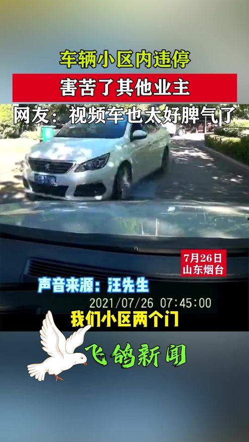 车停的不错视频,一招教你停车技巧